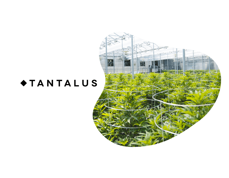 Tantalus Outsources AP and Keeps Team Focused on Strategic Functions