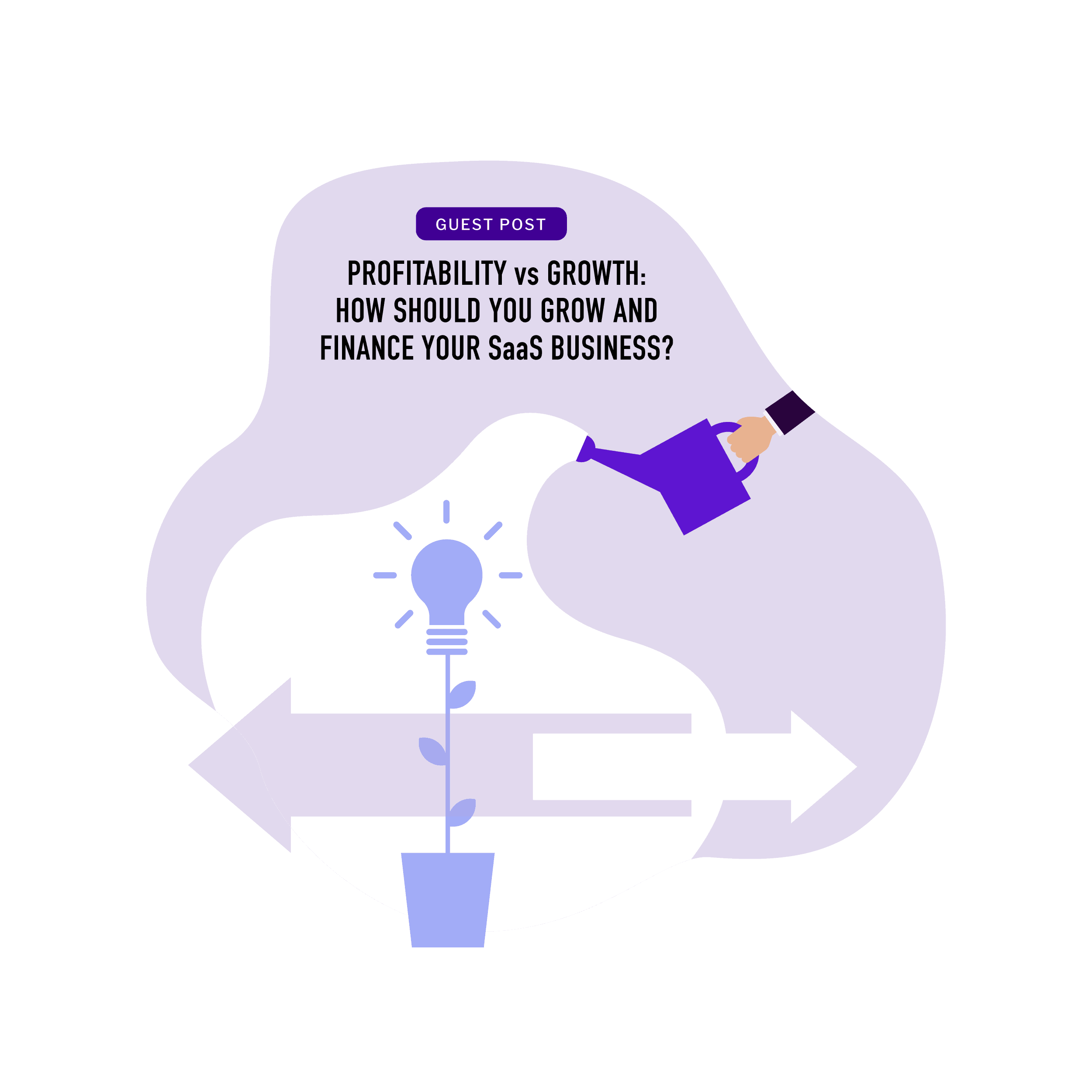 Profitability vs Growth Feature Image